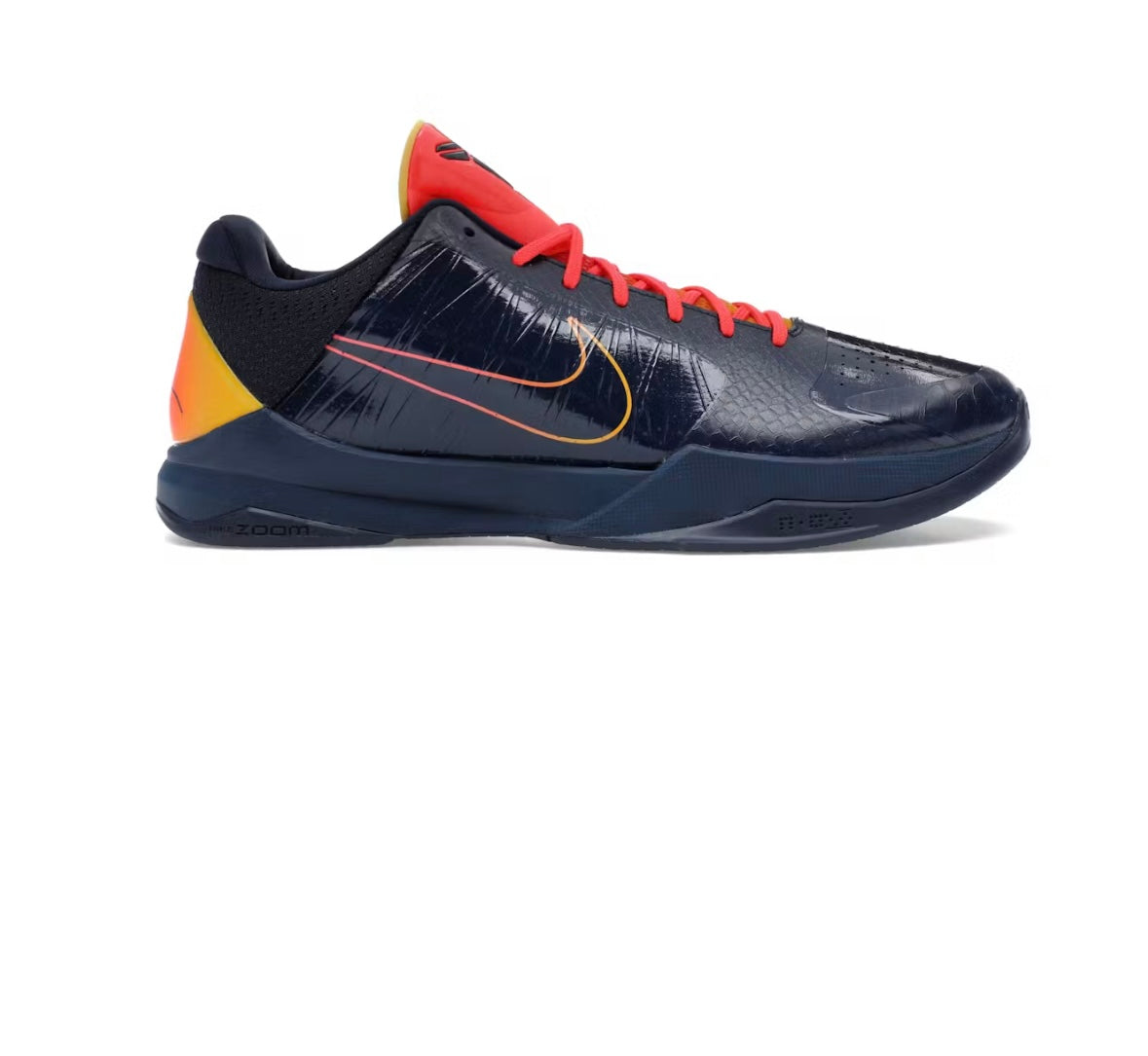 Kobe 5